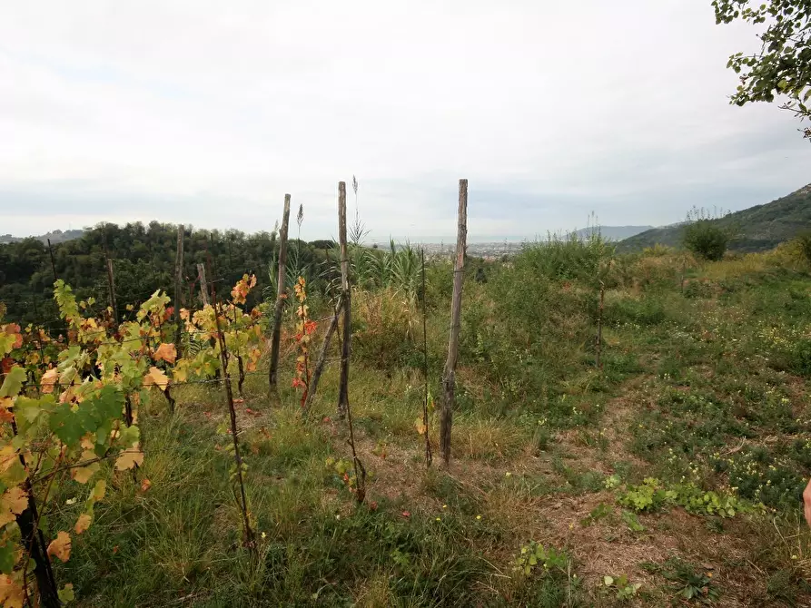 Immagine 69 di Casa colonica in vendita  a Carrara