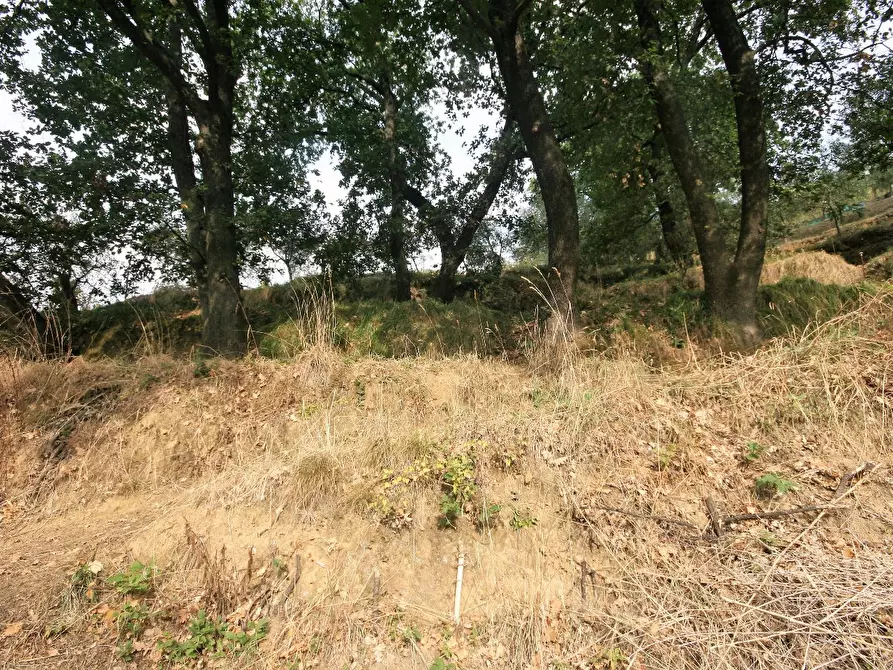 Immagine 58 di Casa colonica in vendita  a Carrara