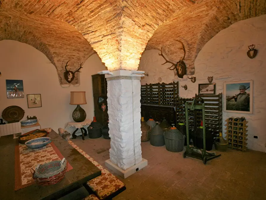 Immagine 38 di Casa colonica in vendita  a Carrara