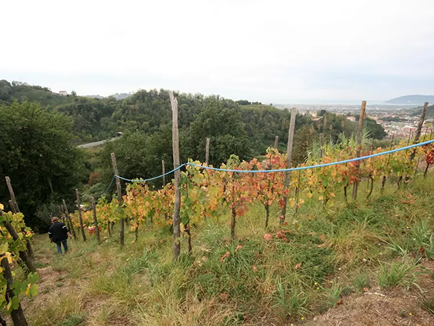Immagine 70 di Casa colonica in vendita  a Carrara