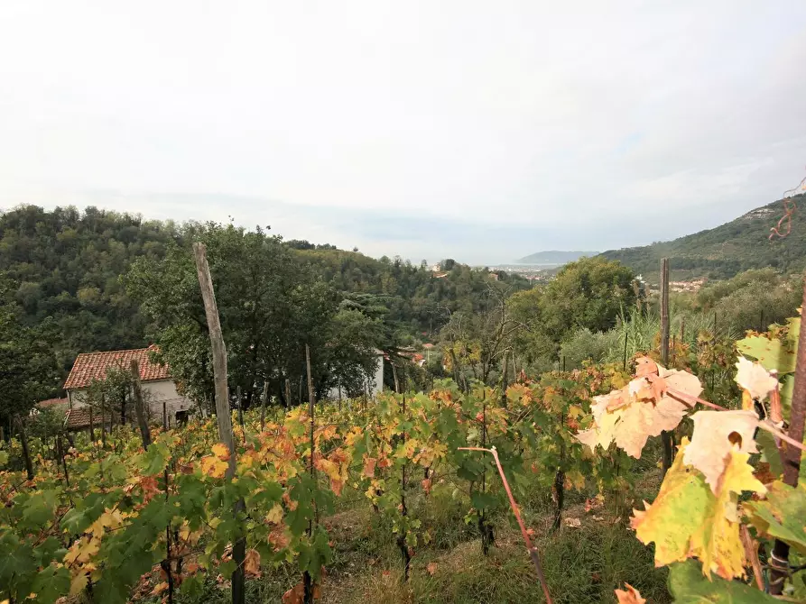 Immagine 60 di Casa colonica in vendita  a Carrara