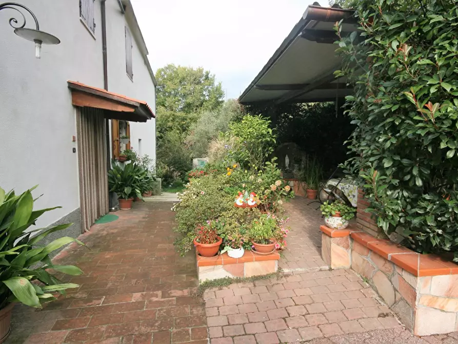 Immagine 57 di Casa colonica in vendita  a Carrara