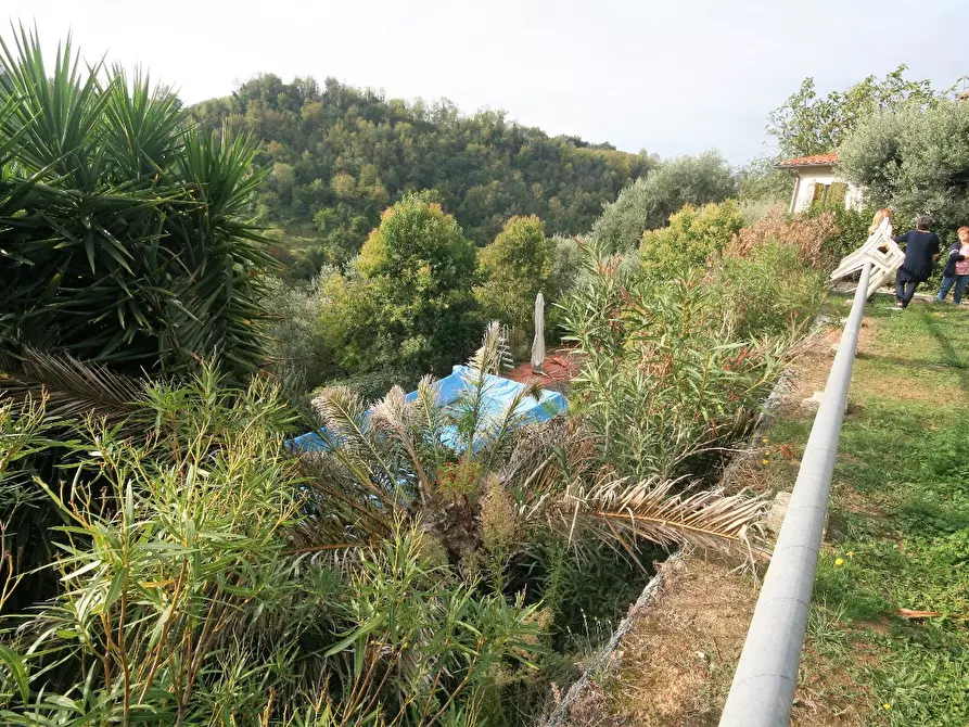 Immagine 28 di Casa colonica in vendita  a Carrara