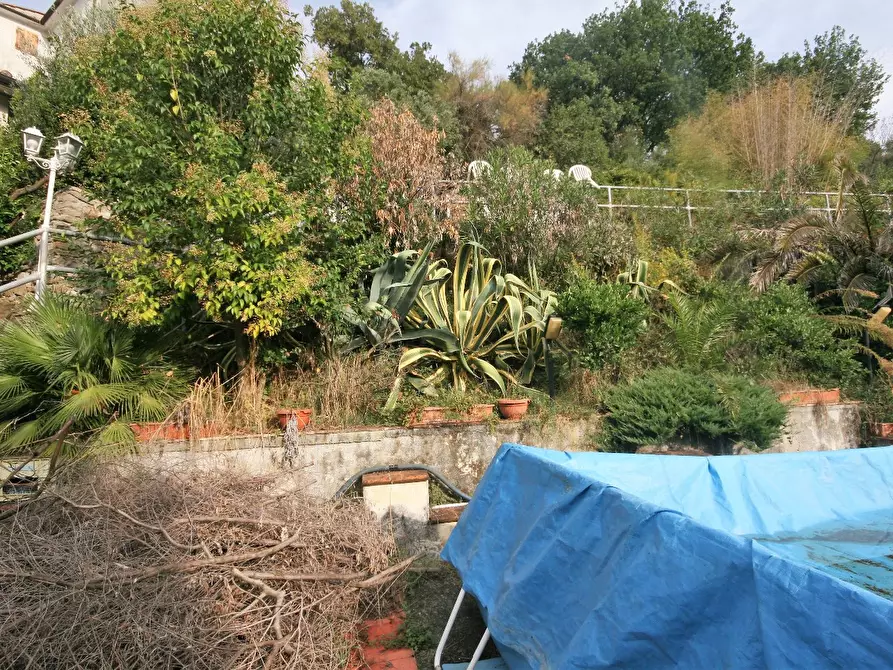 Immagine 30 di Casa colonica in vendita  a Carrara