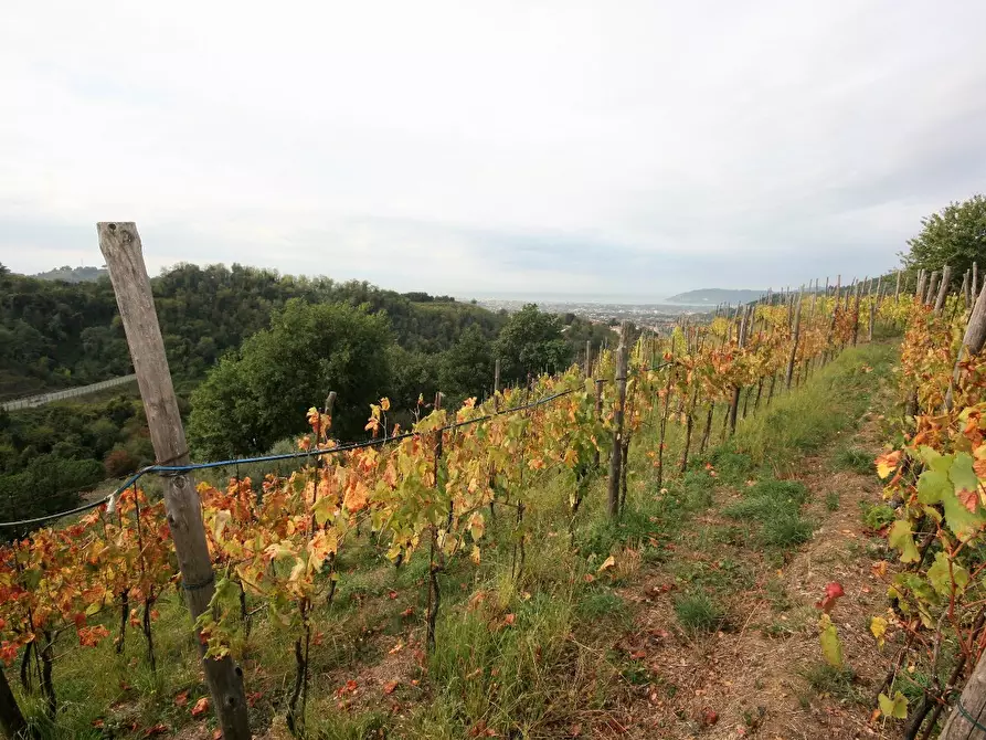 Immagine 63 di Casa colonica in vendita  a Carrara