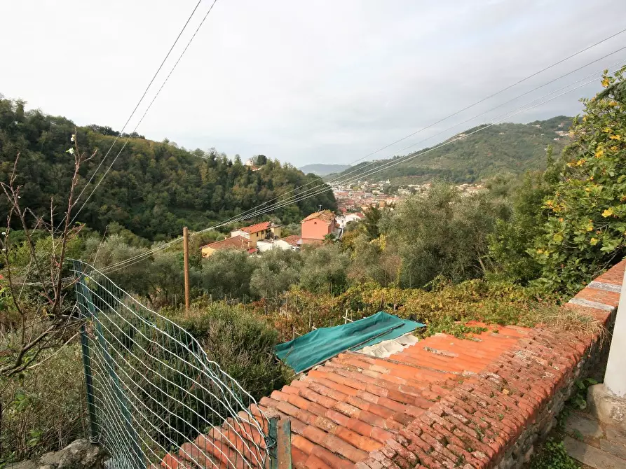 Immagine 31 di Casa colonica in vendita  a Carrara