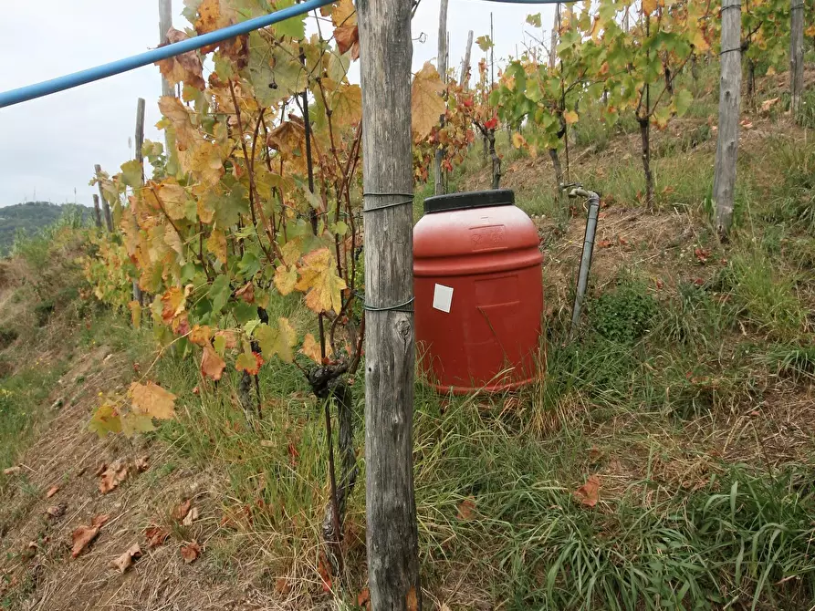 Immagine 73 di Casa colonica in vendita  a Carrara