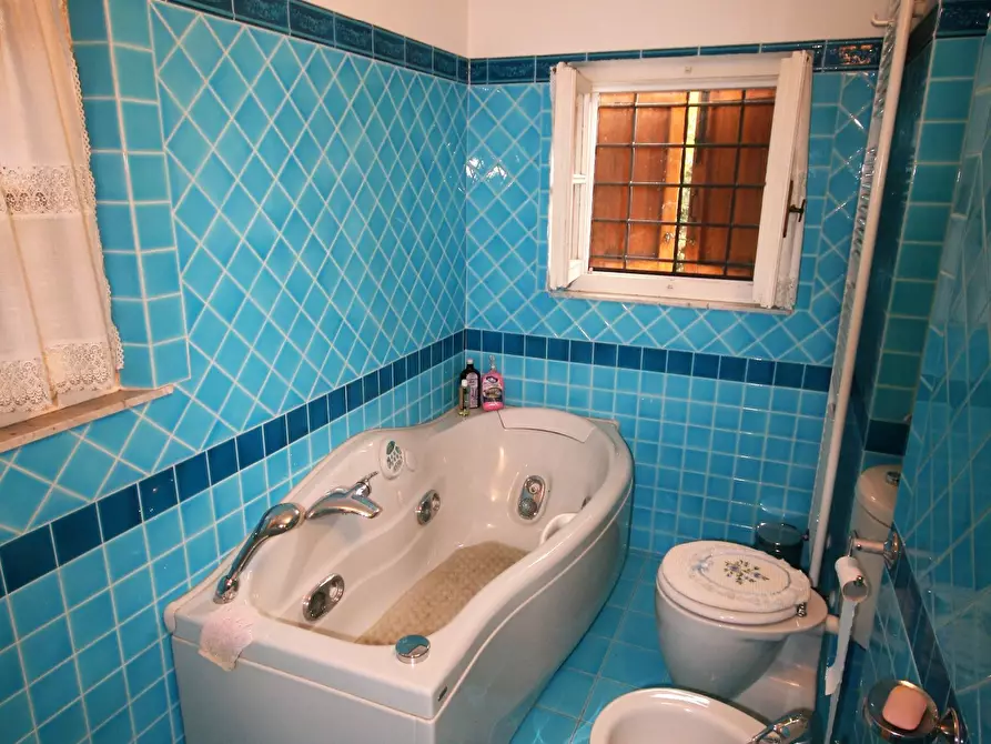 Immagine 54 di Casa colonica in vendita  a Carrara