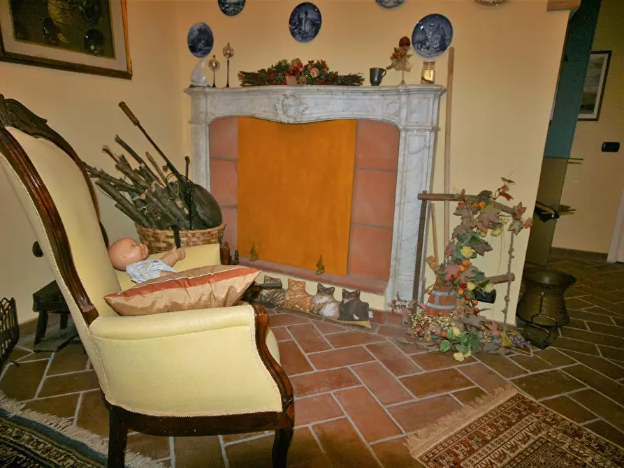 Immagine 50 di Casa colonica in vendita  a Carrara