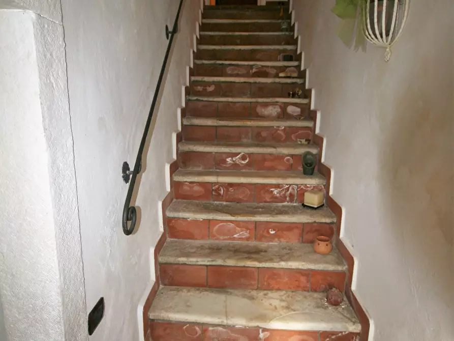 Immagine 46 di Casa colonica in vendita  a Carrara
