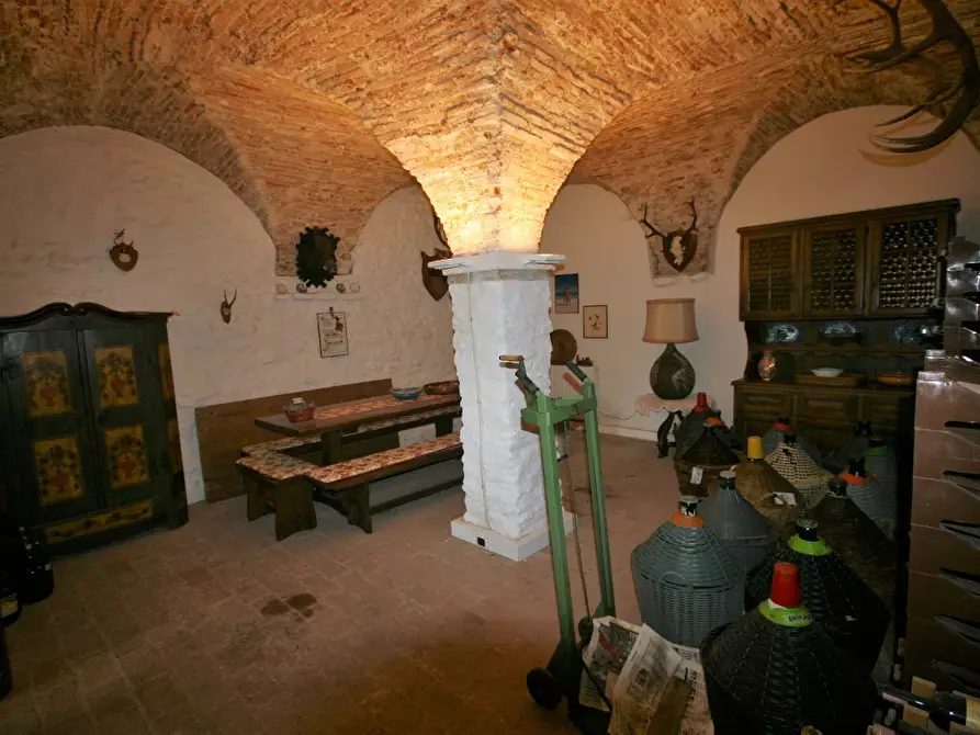 Immagine 39 di Casa colonica in vendita  a Carrara