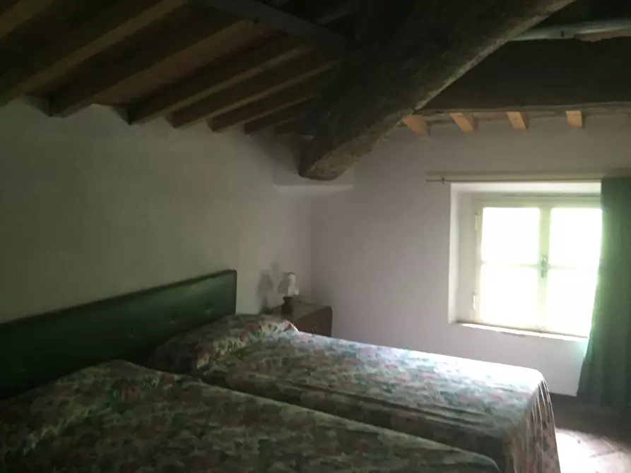 Immagine 7 di Casa colonica in vendita  a Calci