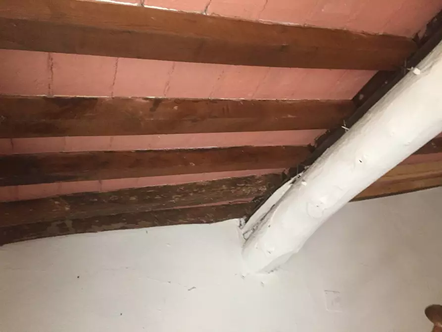 Immagine 6 di Casa colonica in vendita  a Calci