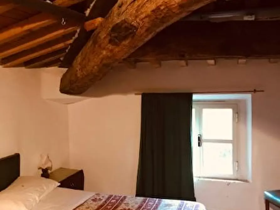 Immagine 44 di Casa colonica in vendita  a Calci