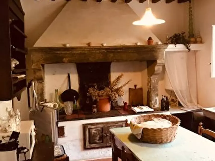 Immagine 30 di Casa colonica in vendita  a Calci