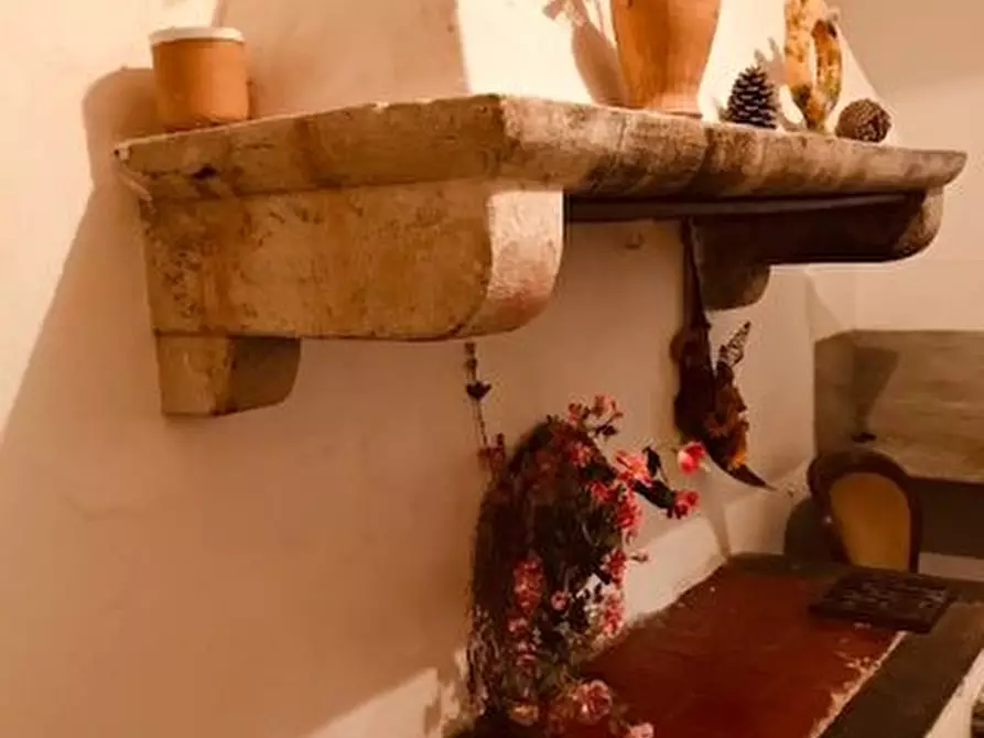 Immagine 22 di Casa colonica in vendita  a Calci