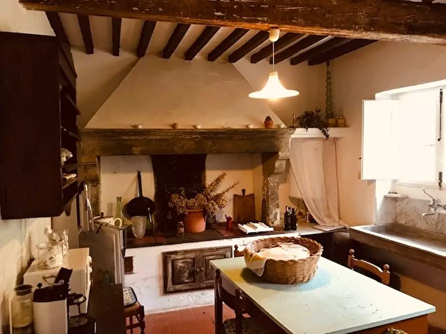 Immagine 31 di Casa colonica in vendita  a Calci