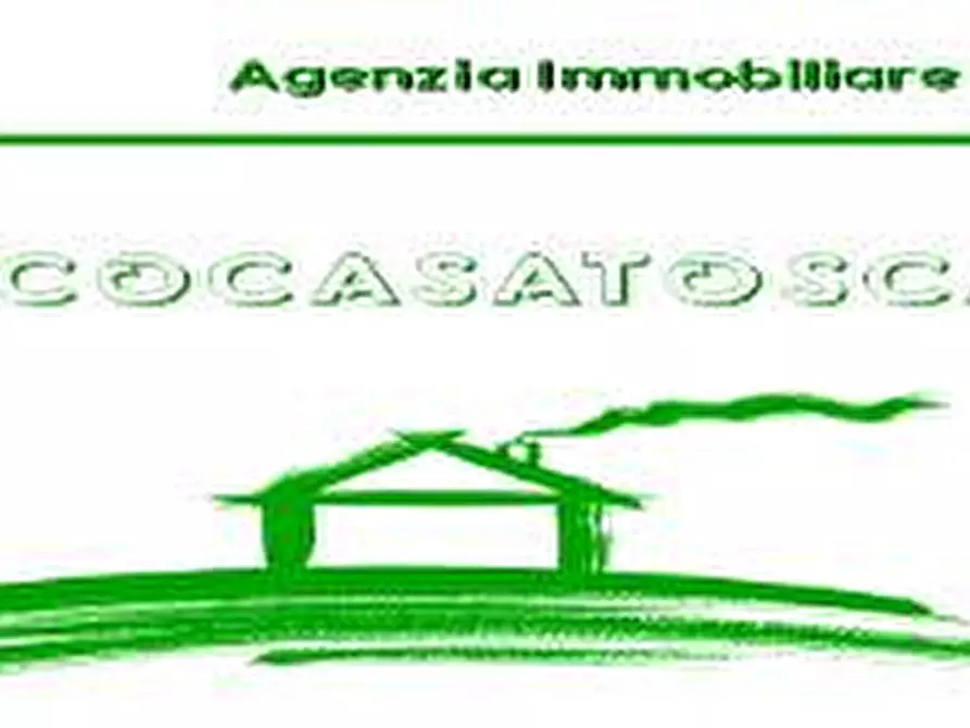 Immagine 5 di Garage in vendita  a Peccioli