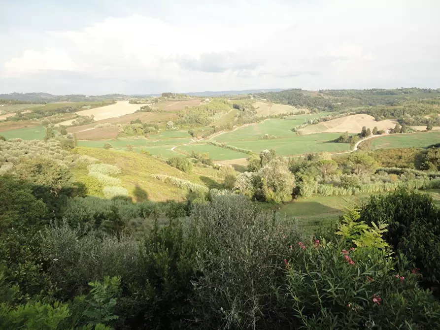 Immagine 2 di Garage in vendita  a Peccioli