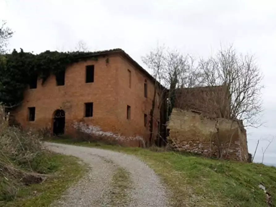 Immagine 2 di Casa colonica in vendita  a Asciano