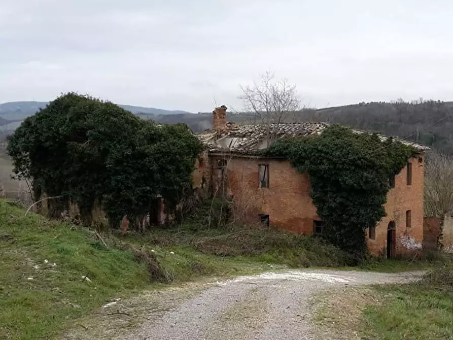 Immagine 1 di Casa colonica in vendita  a Asciano