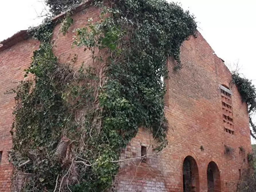 Immagine 1 di Casa colonica in vendita  a Asciano