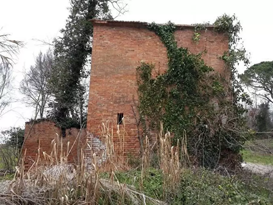 Immagine 2 di Casa colonica in vendita  a Asciano