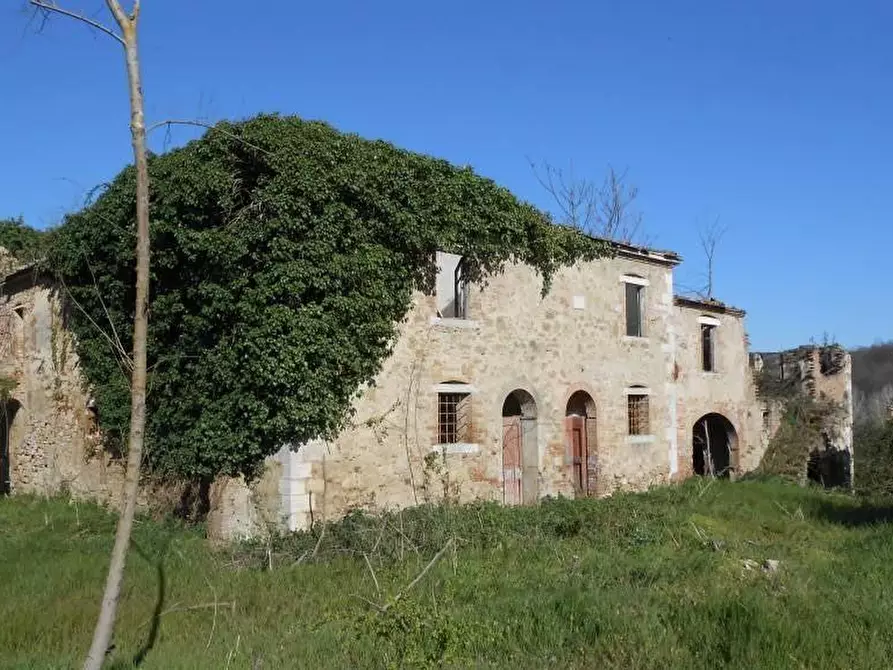 Immagine 1 di Casa colonica in vendita  a Asciano