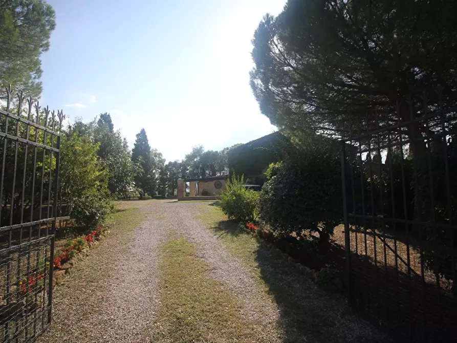 Immagine 6 di Casa colonica in vendita  a Pienza