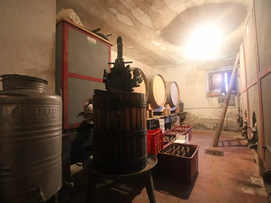 Immagine 21 di Casa colonica in vendita  a Pienza