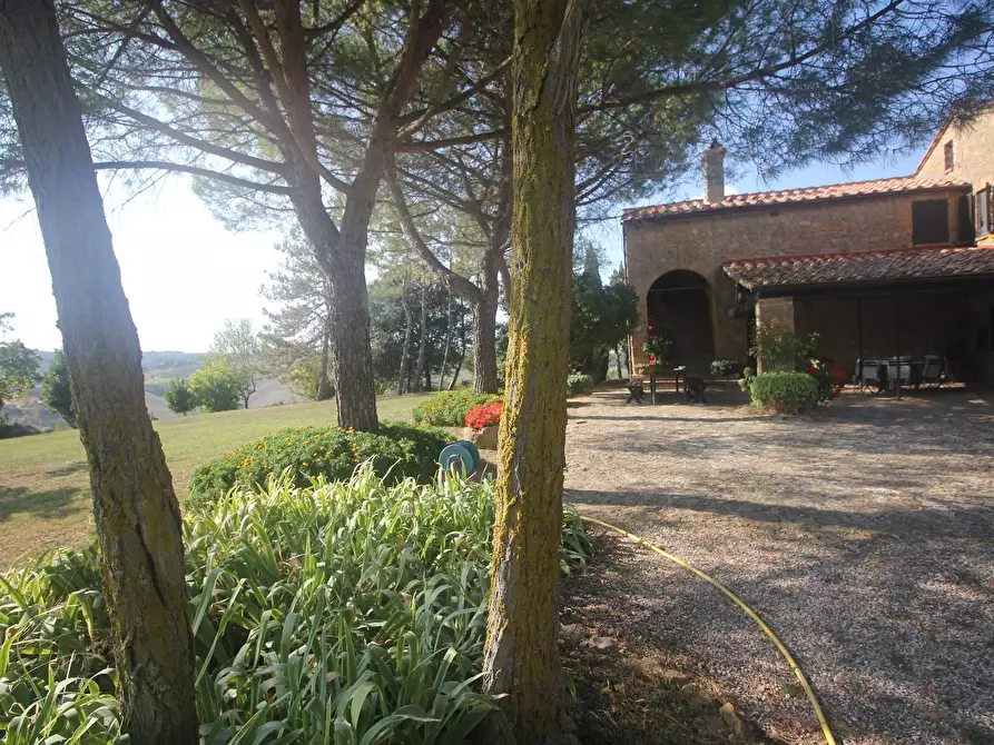 Immagine 3 di Casa colonica in vendita  a Pienza