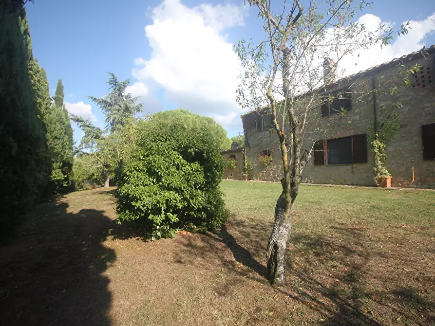 Immagine 5 di Casa colonica in vendita  a Pienza