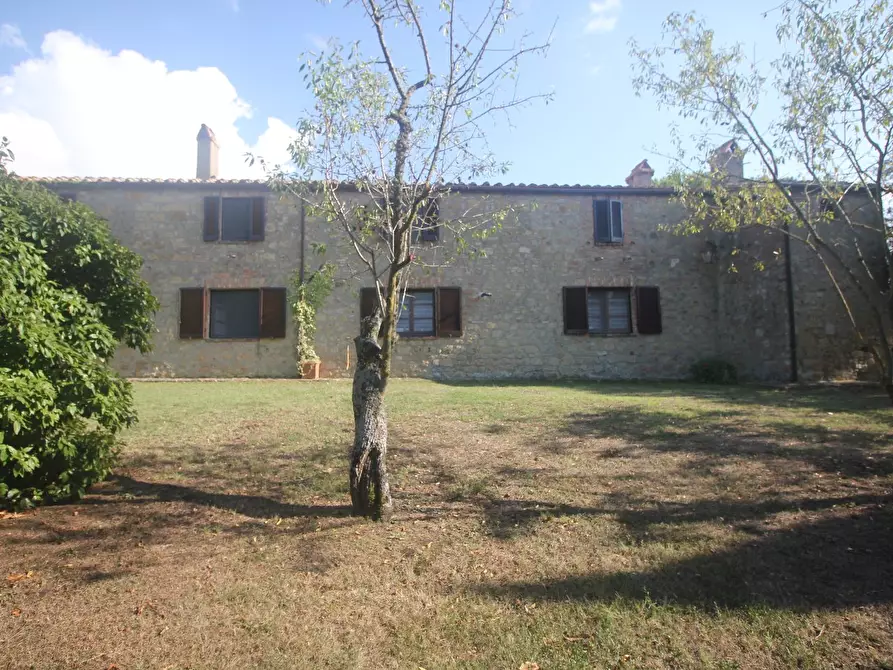 Immagine 4 di Casa colonica in vendita  a Pienza