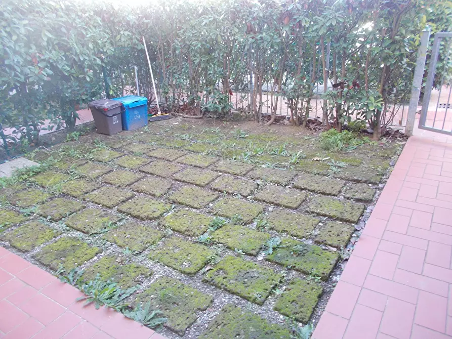 Immagine 2 di Appartamento in affitto  a Pontedera