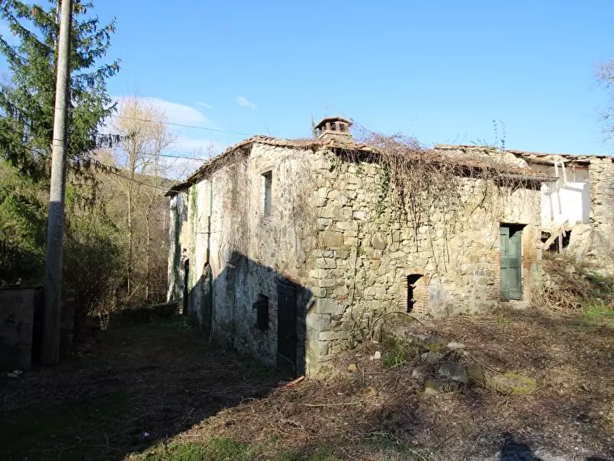 Immagine 5 di Casa colonica in vendita  a Castellina In Chianti
