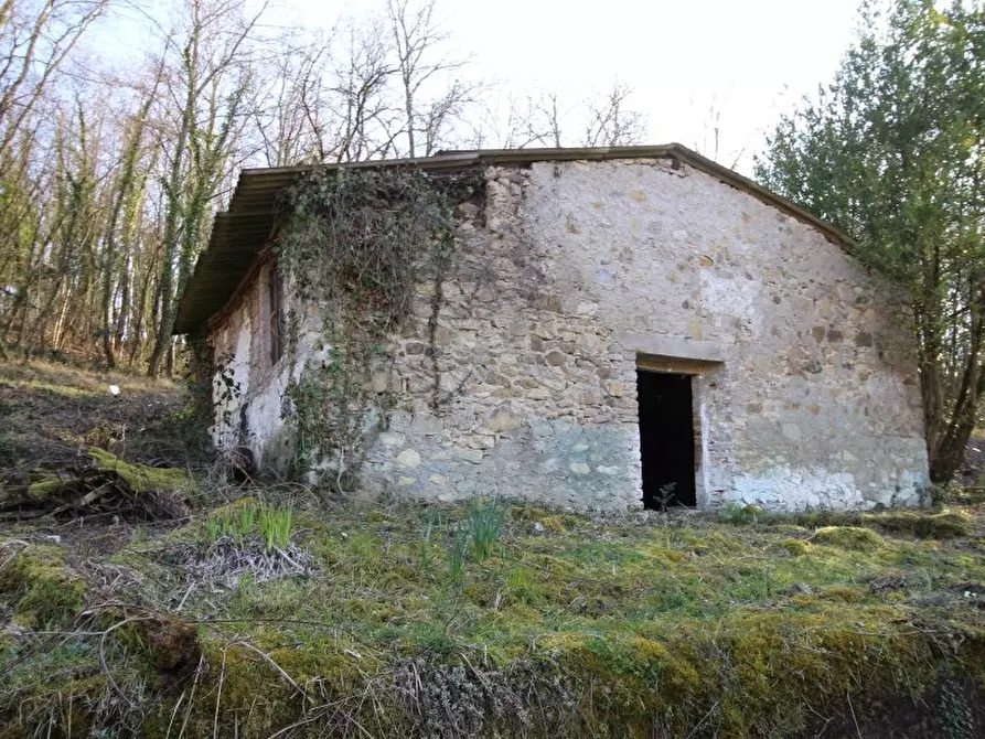 Immagine 3 di Casa colonica in vendita  a Castellina In Chianti