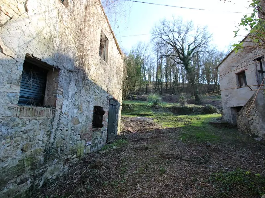Immagine 7 di Casa colonica in vendita  a Castellina In Chianti