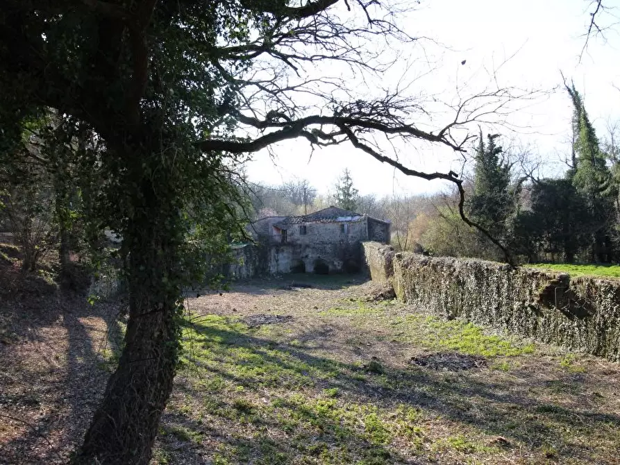 Immagine 12 di Casa colonica in vendita  a Castellina In Chianti