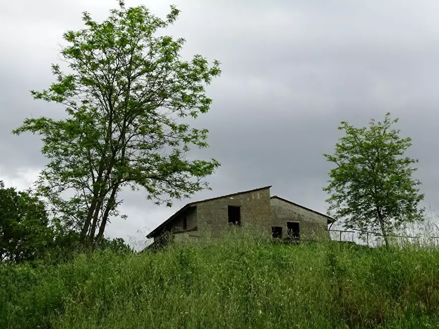 Immagine 24 di Casa colonica in vendita  a San Miniato
