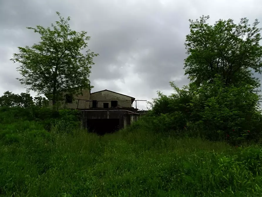 Immagine 23 di Casa colonica in vendita  a San Miniato