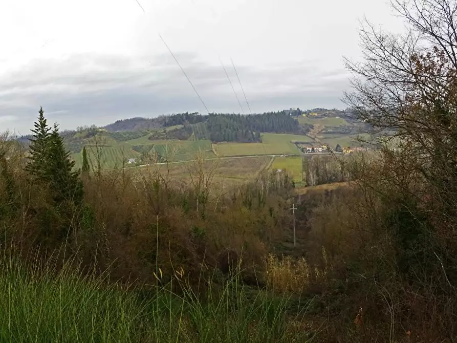 Immagine 1 di Terreno agricolo in vendita  a San Miniato