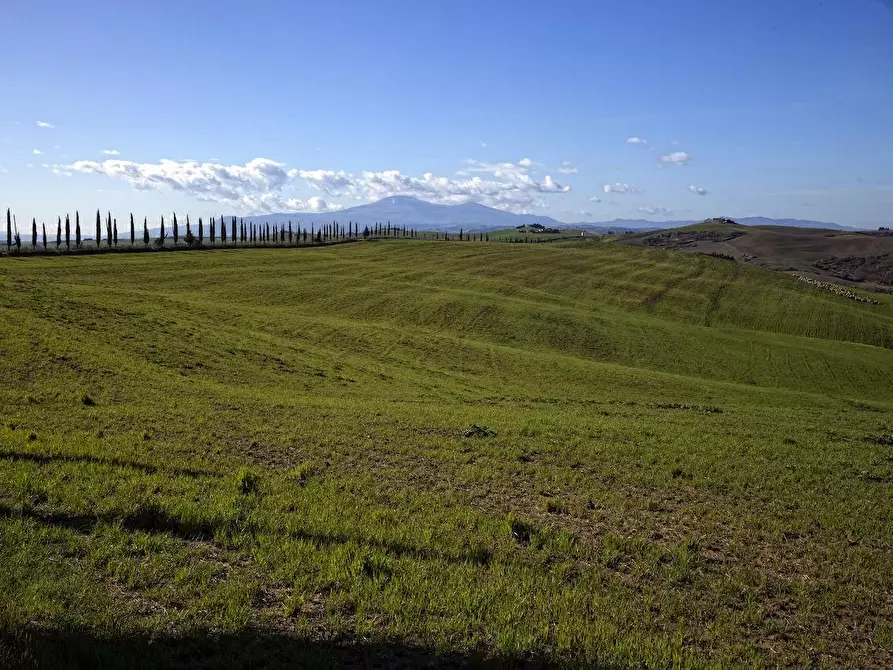 Immagine 12 di Albergo/B&B/Residence in vendita  a Montalcino