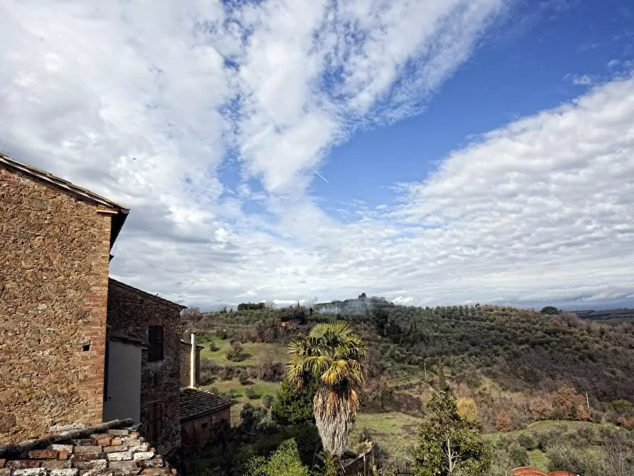 Immagine 4 di Albergo/B&B/Residence in vendita  a Montalcino