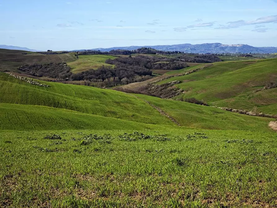 Immagine 13 di Albergo/B&B/Residence in vendita  a Montalcino