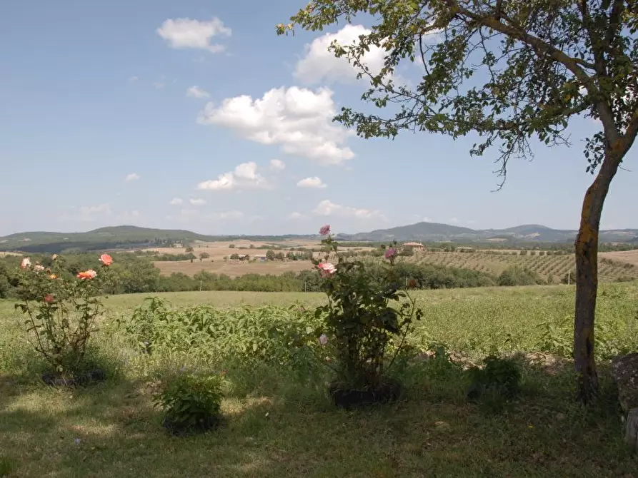Immagine 9 di Azienda agricola in vendita  a Pienza