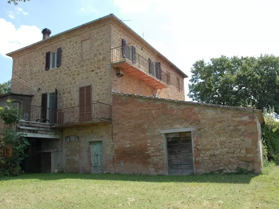 Immagine 4 di Azienda agricola in vendita  a Pienza