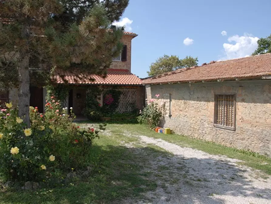 Immagine 6 di Azienda agricola in vendita  a Pienza