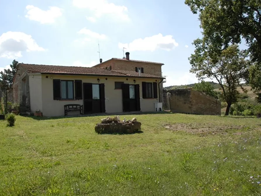 Immagine 2 di Azienda agricola in vendita  a Pienza