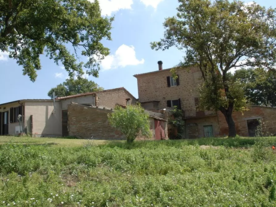 Immagine 5 di Azienda agricola in vendita  a Pienza