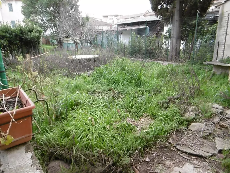 Immagine 3 di Terratetto in vendita  a Empoli